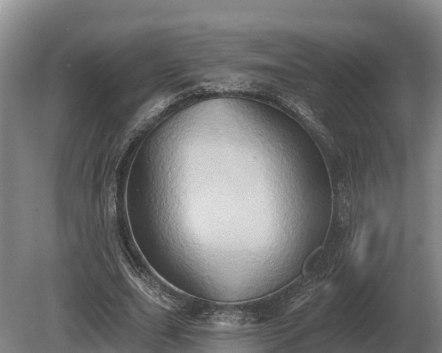 X0000081300631200701181836