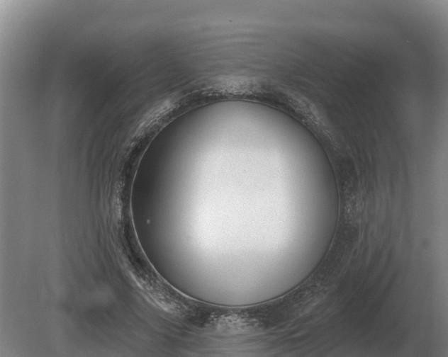 X0000081300635200701181836