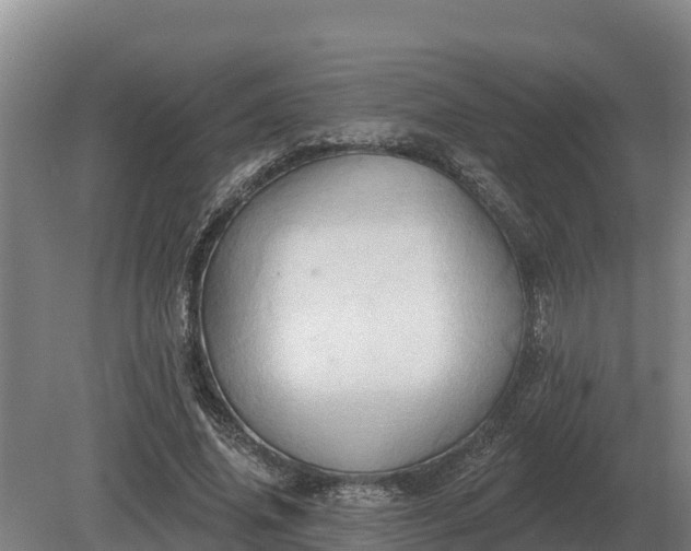 X0000081300636200701181836