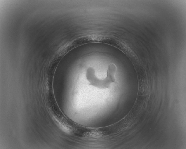 X0000081300639200701181836