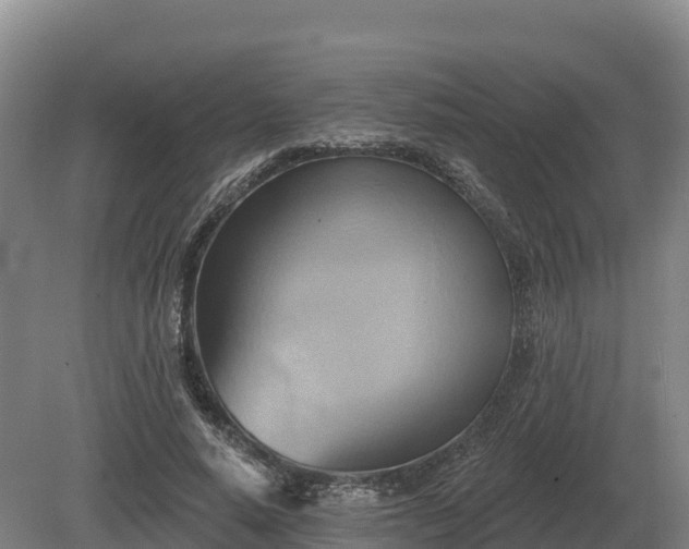 X0000081300640200701181836