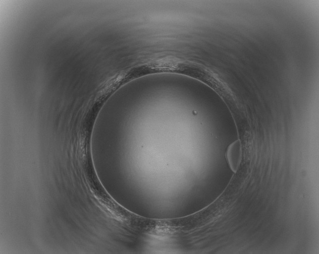 X0000081300641200701181836