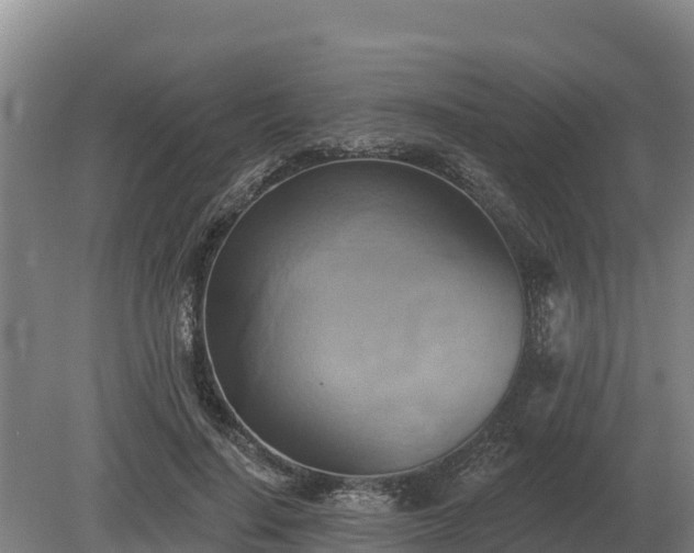 X0000081300644200701181836