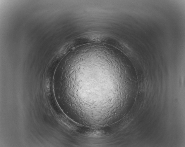 X0000081300646200701181836