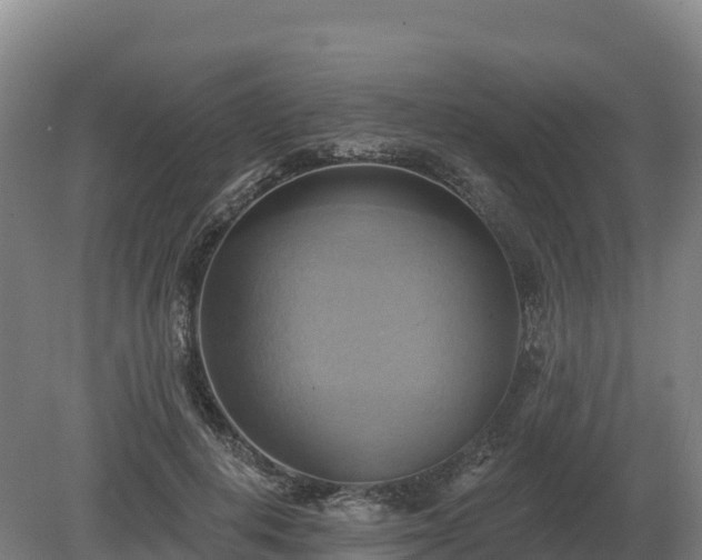 X0000081300648200701181836