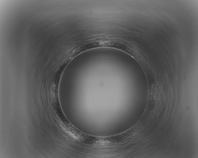 X0000081300650200701181836