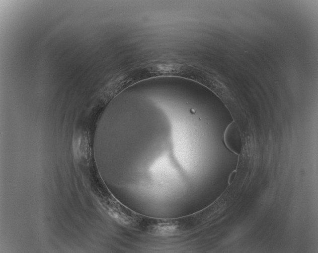 X0000081300651200701181836