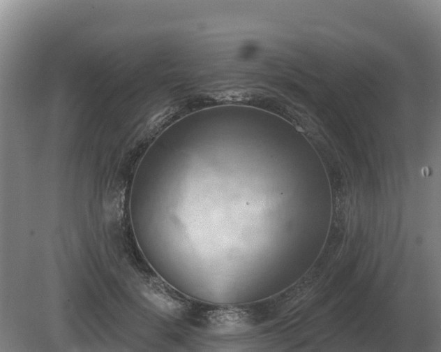 X0000081300652200701181836