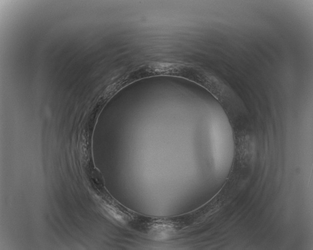 X0000081300653200701181836