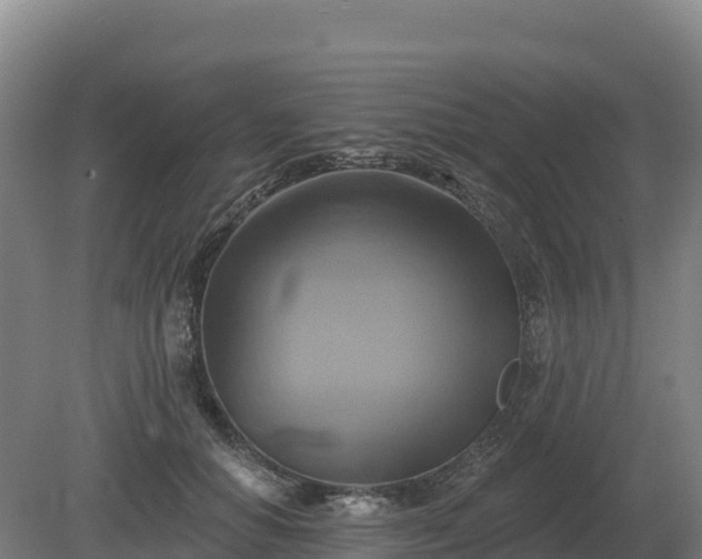 X0000081300654200701181836