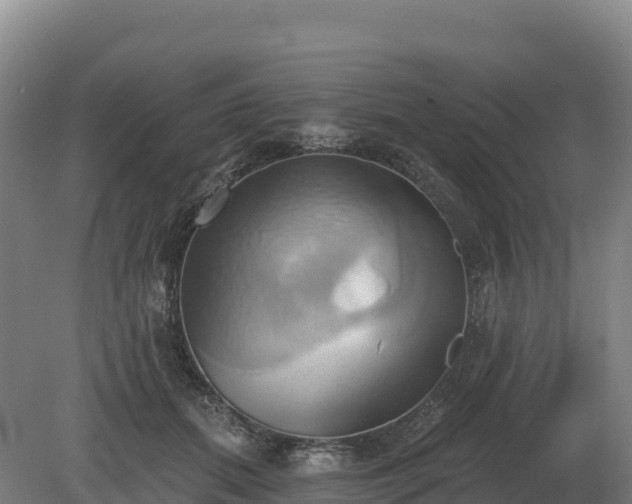 X0000081300655200701181836