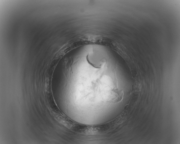 X0000081300656200701181836