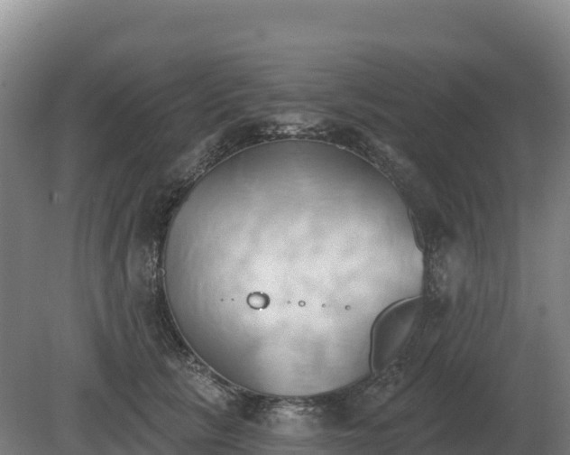 X0000081300657200701181836