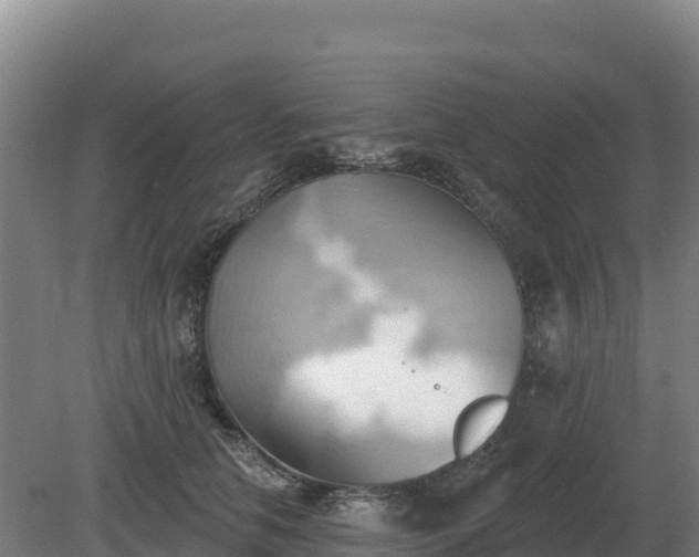 X0000081300658200701181836