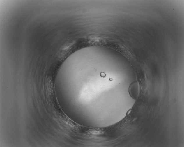 X0000081300659200701181836