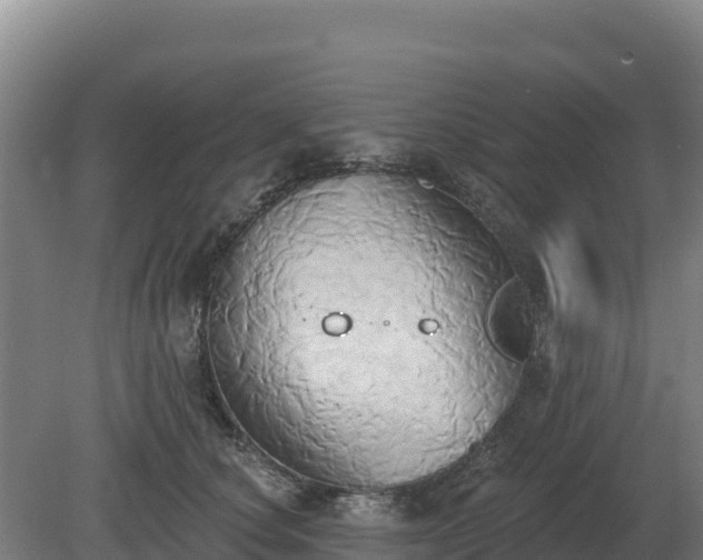 X0000081300660200701181836