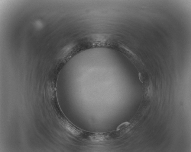 X0000081300661200701181837