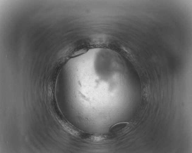 X0000081300662200701181837