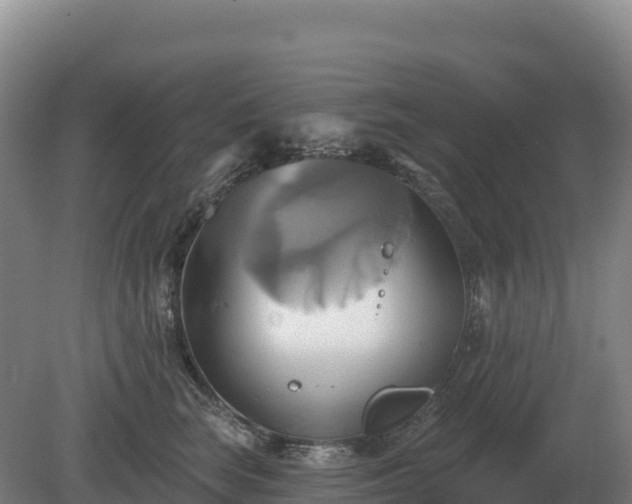 X0000081300663200701181837