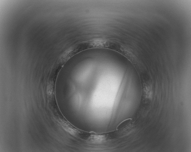 X0000081300665200701181837