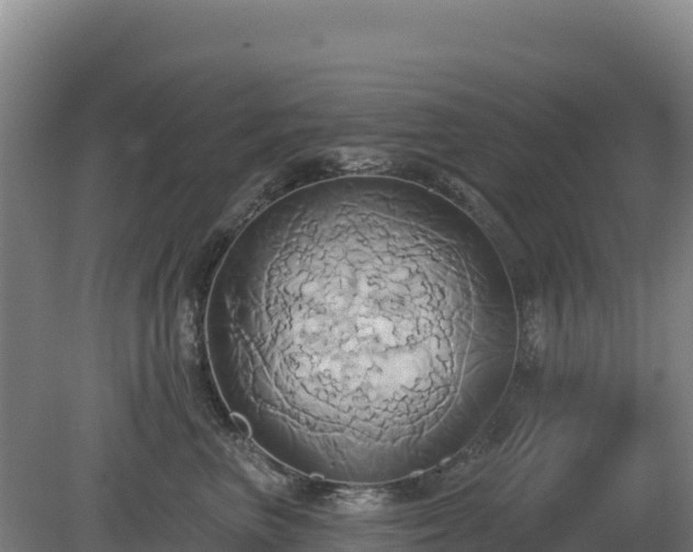 X0000081300667200701181837