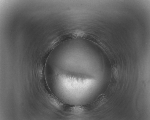 X0000081300668200701181837