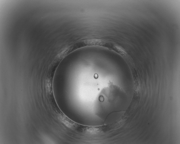 X0000081300669200701181837