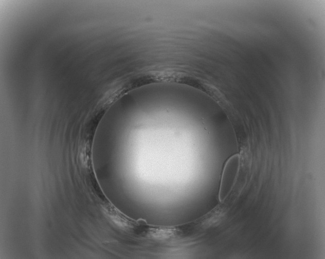 X0000081300671200701181837