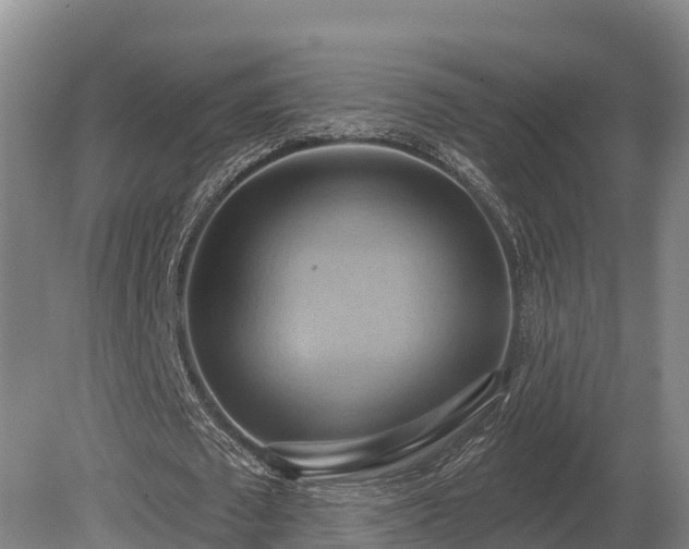 X0000081300673200701181836