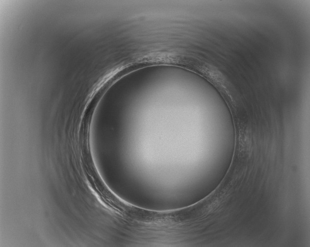 X0000081300674200701181836