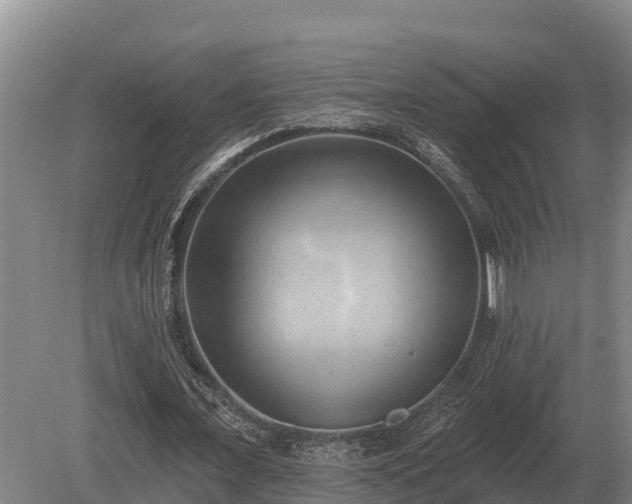 X0000081300675200701181836