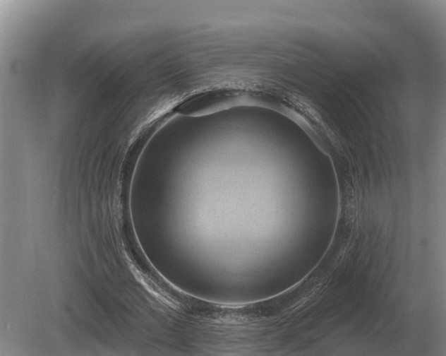 X0000081300677200701181836