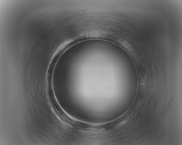 X0000081300678200701181836