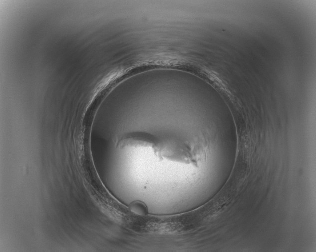 X0000081300679200701181836