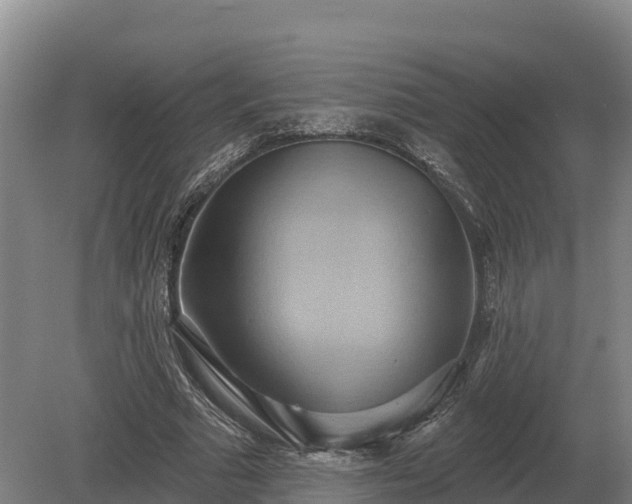 X0000081300681200701181836