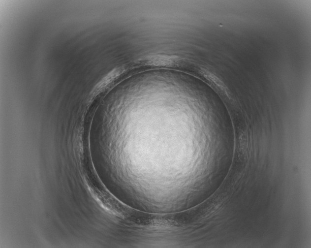 X0000081300682200701181836