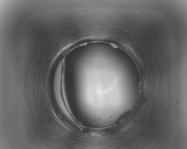 X0000081300684200701181836