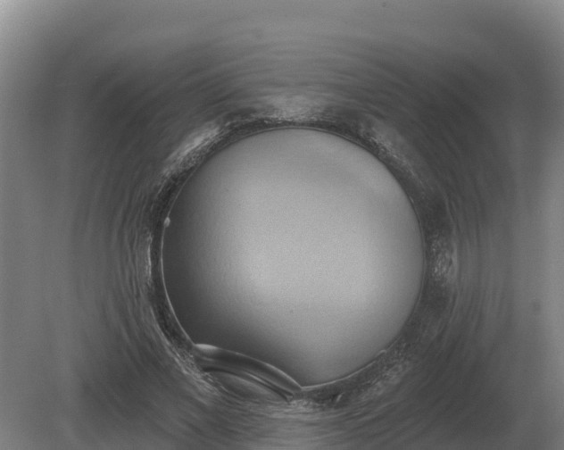 X0000081300685200701181836