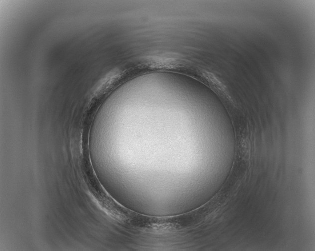 X0000081300686200701181836