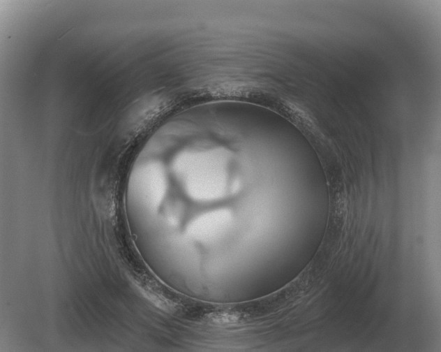 X0000081300687200701181836