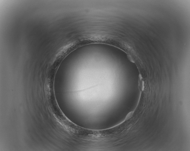 X0000081300688200701181836