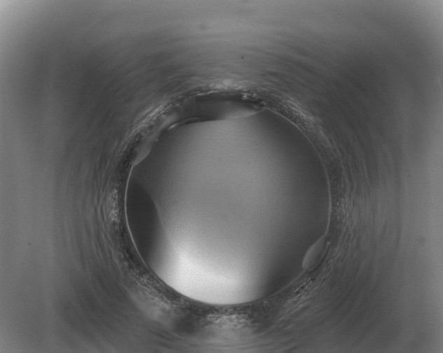 X0000081300689200701181836