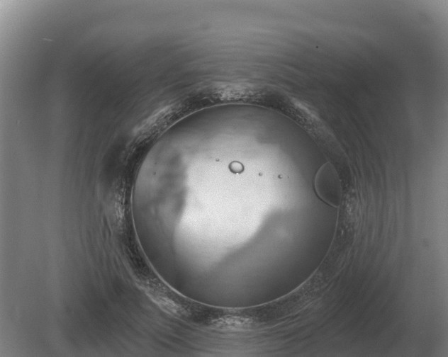 X0000081300691200701181836