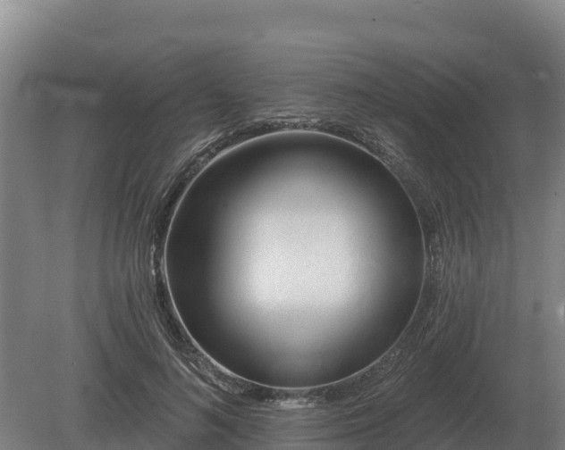 X0000081300692200701181836