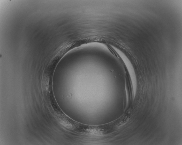 X0000081300693200701181836