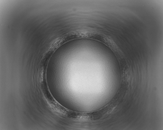 X0000081300694200701181836