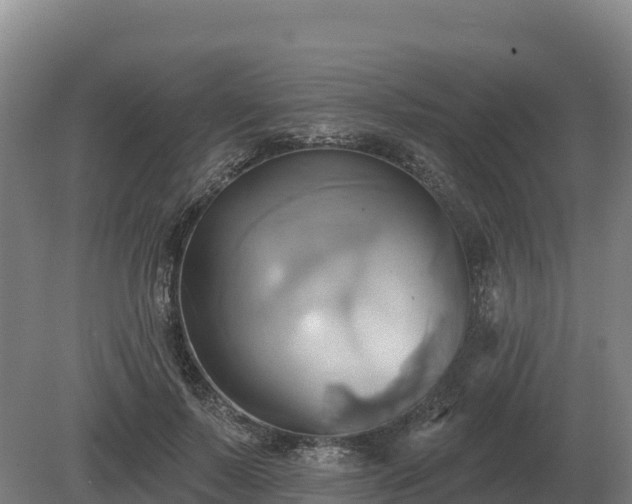 X0000081300695200701181836