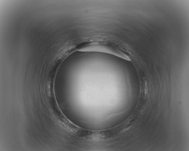 X0000081300696200701181835