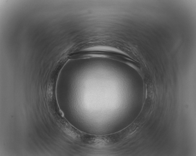 X0000081300697200701181835