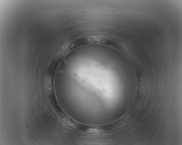 X0000081300699200701181835